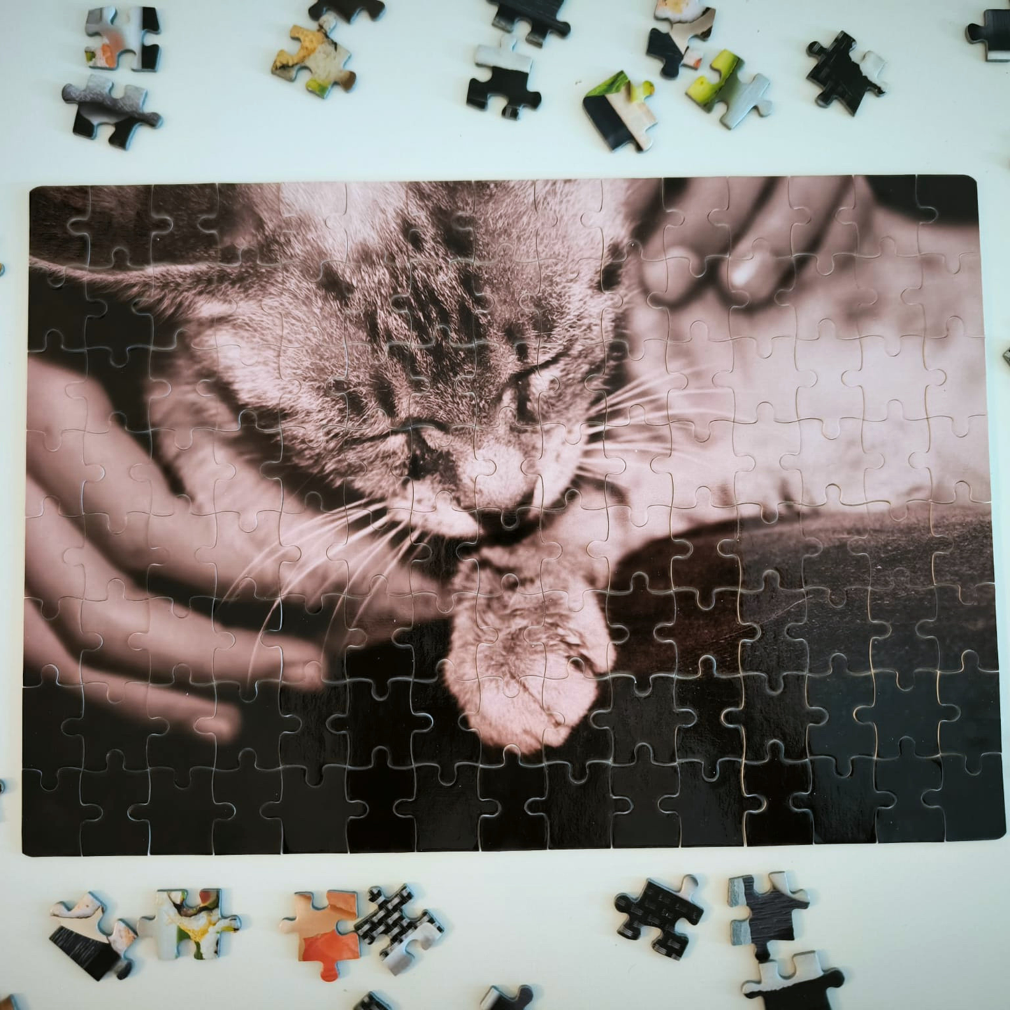 Puzzle Personalizado